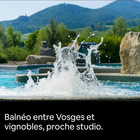 Apartmán Le Refuge Du Belvedere Turckheim